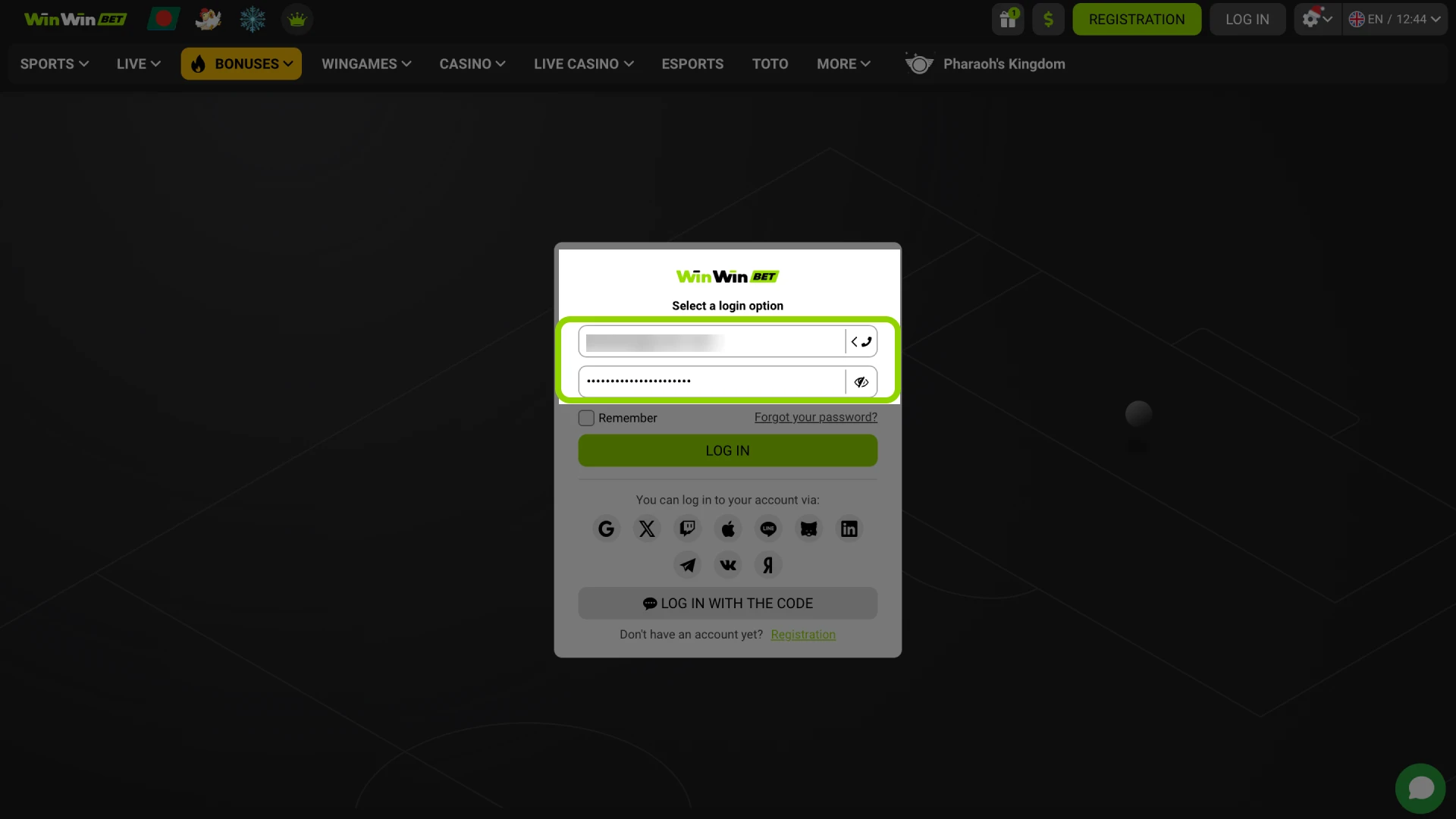 The credentials entry form (phone/email and password) on WinWin.